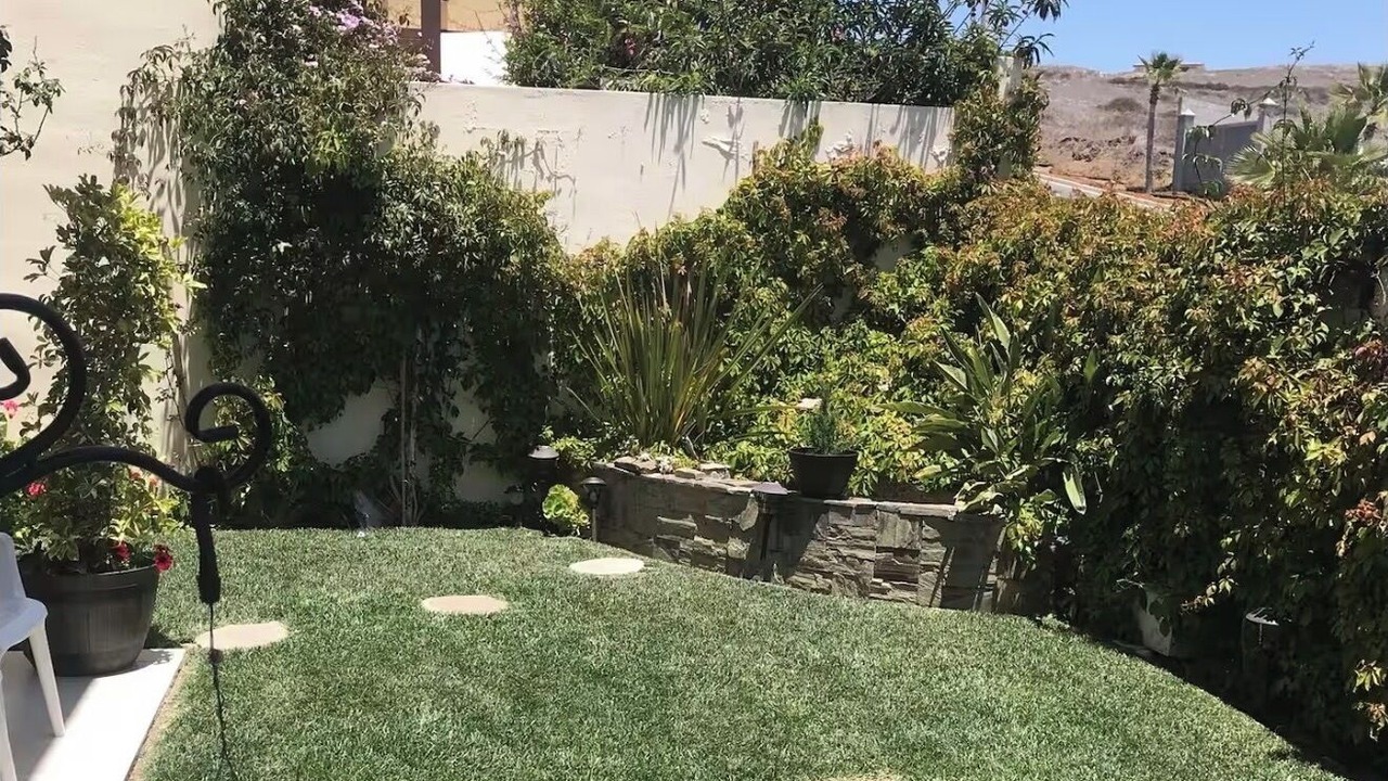 Photo of Outdoor in La Joya