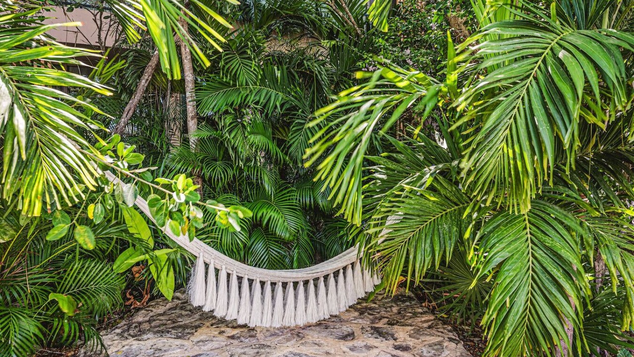 Photo of Outdoor in Zama