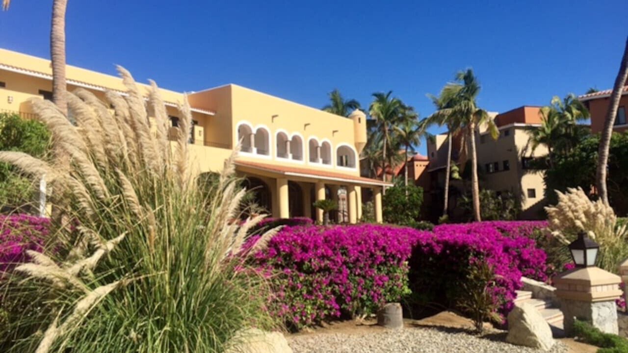 Photo of Others in San Jose del Cabo