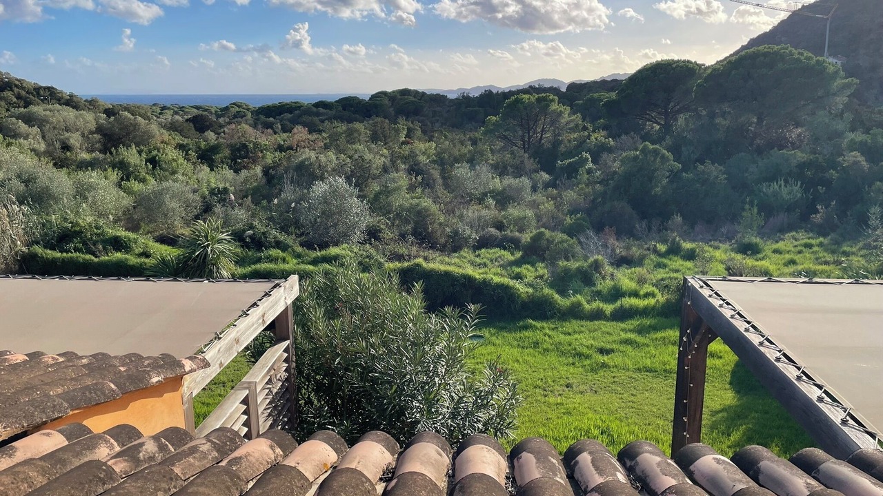 Photo of Others in Hameau de Palombaggia