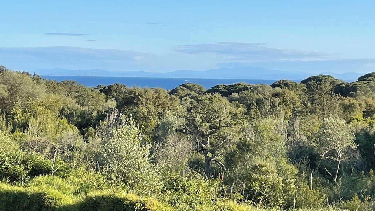 Photo of Others in Hameau de Palombaggia