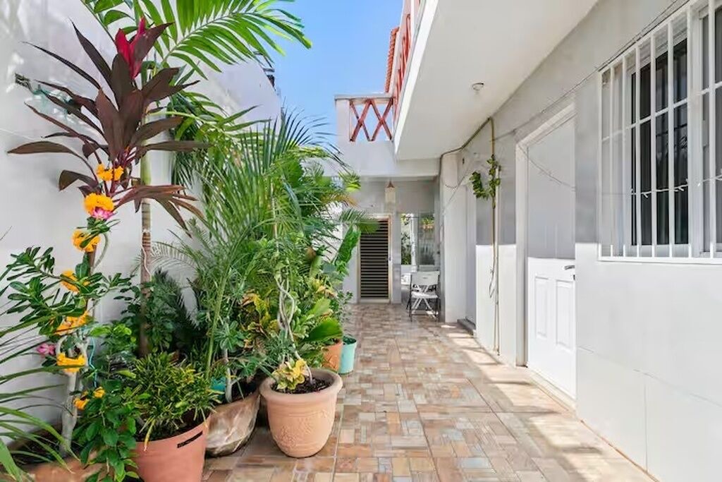 Photo of Patio Balcony in Luis Donaldo Colosio