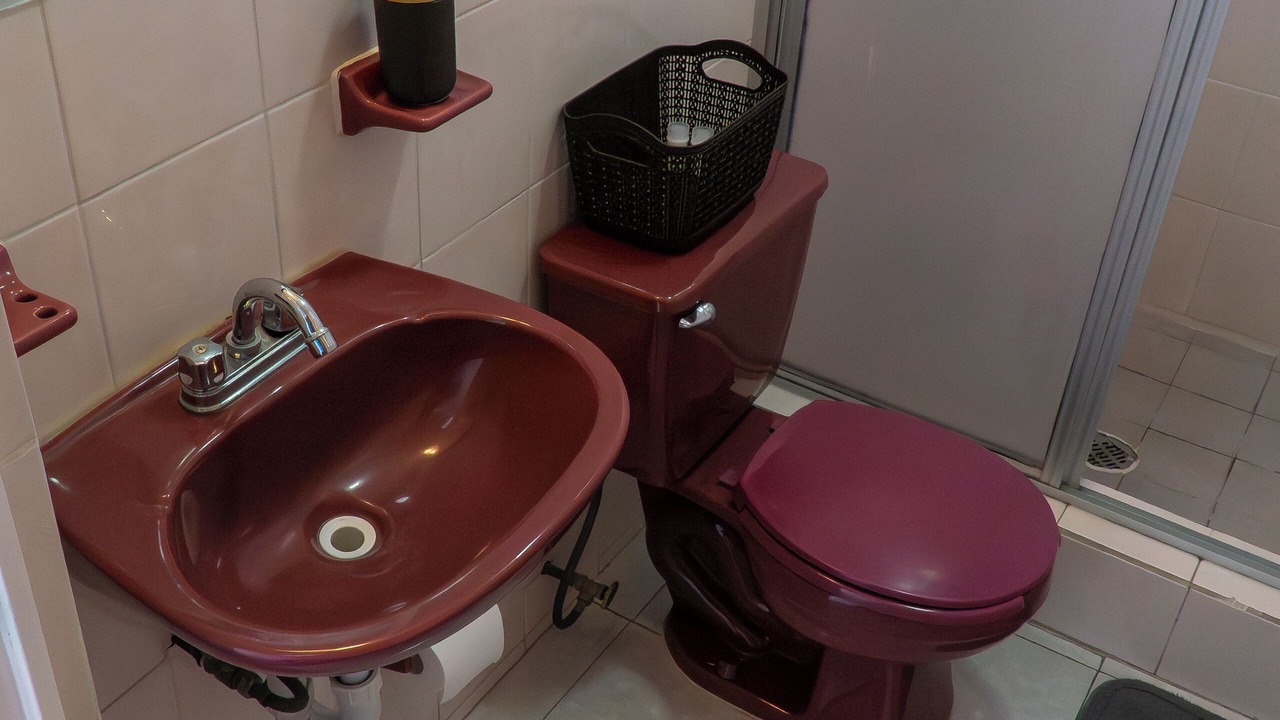 Photo of Bathroom in San Luis Potosi