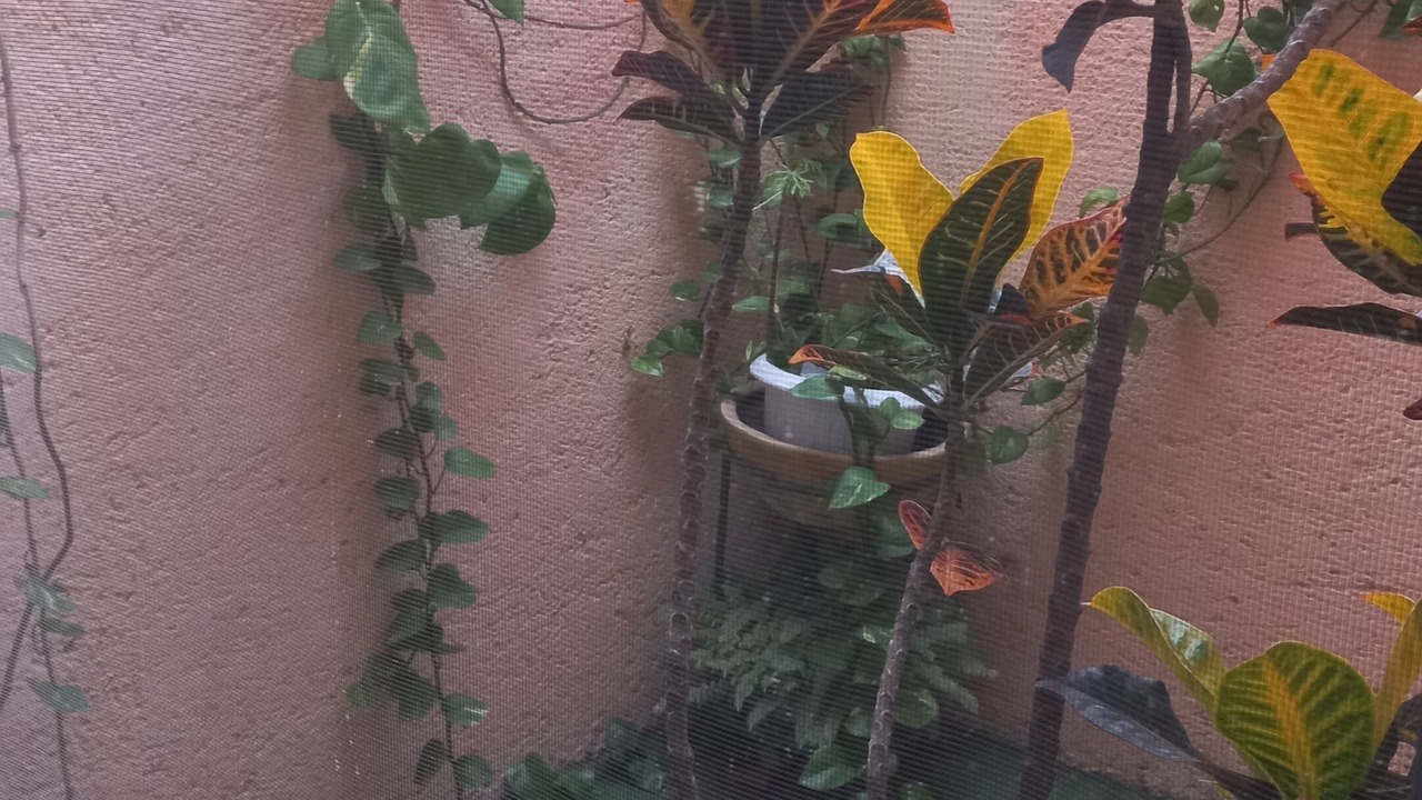 Photo of Outdoor in Queretaro