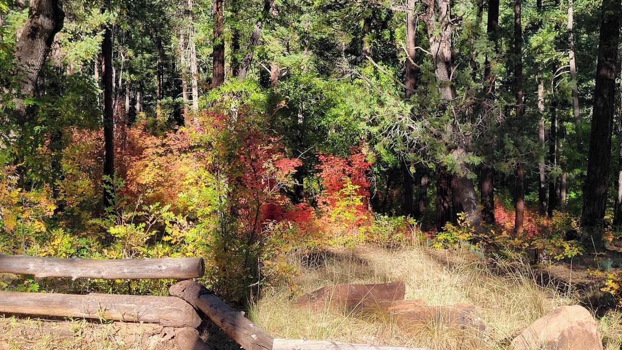 Photo of Others in Christopher Creek