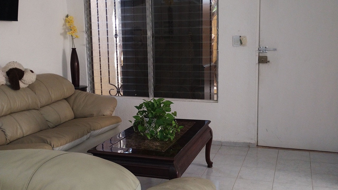 Photo of Livingroom in Merida