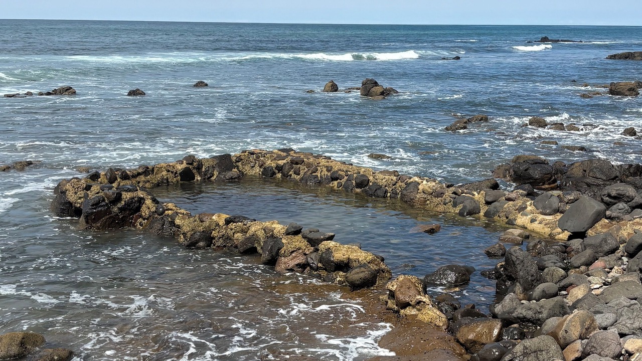 Photo of Others in Rosarito