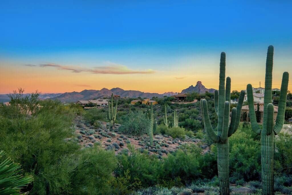 Photo of Others in Fountain Hills