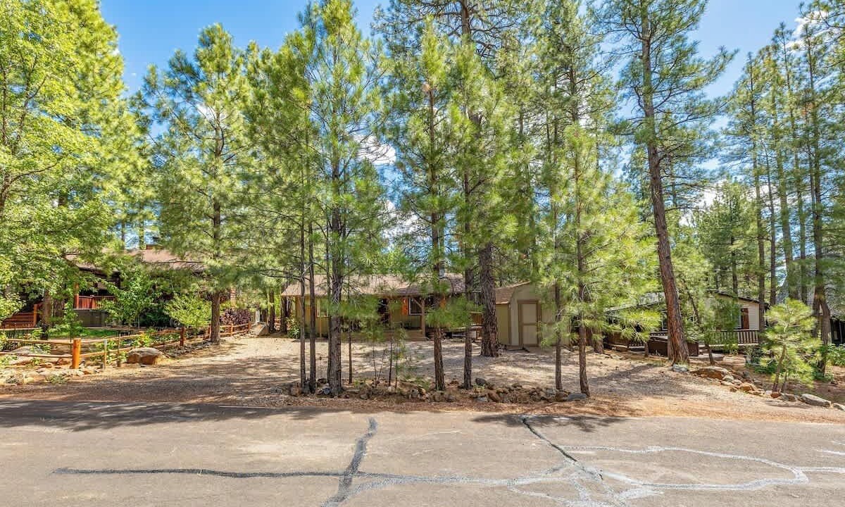 Photo of Outdoor in Munds Park