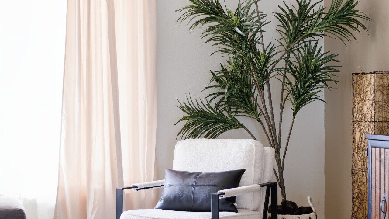 Photo of Livingroom in Pointe Scottsdale