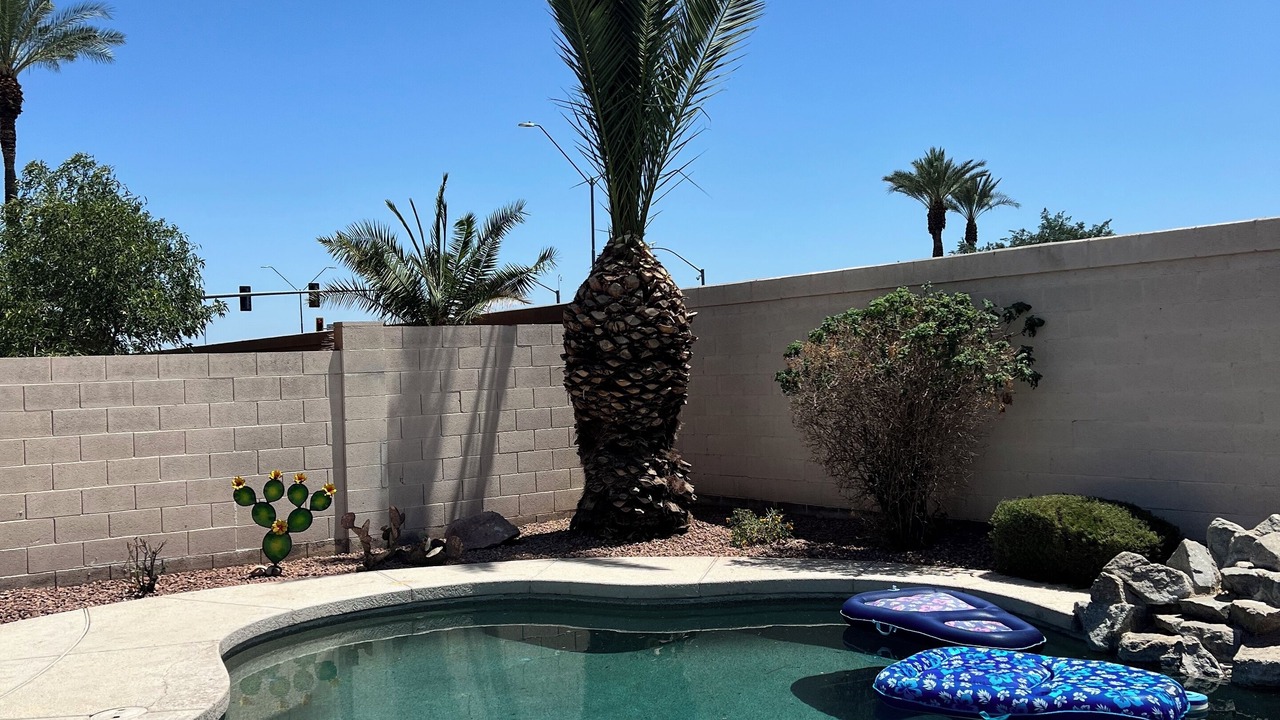 Photo of Outdoor in Fletcher Heights