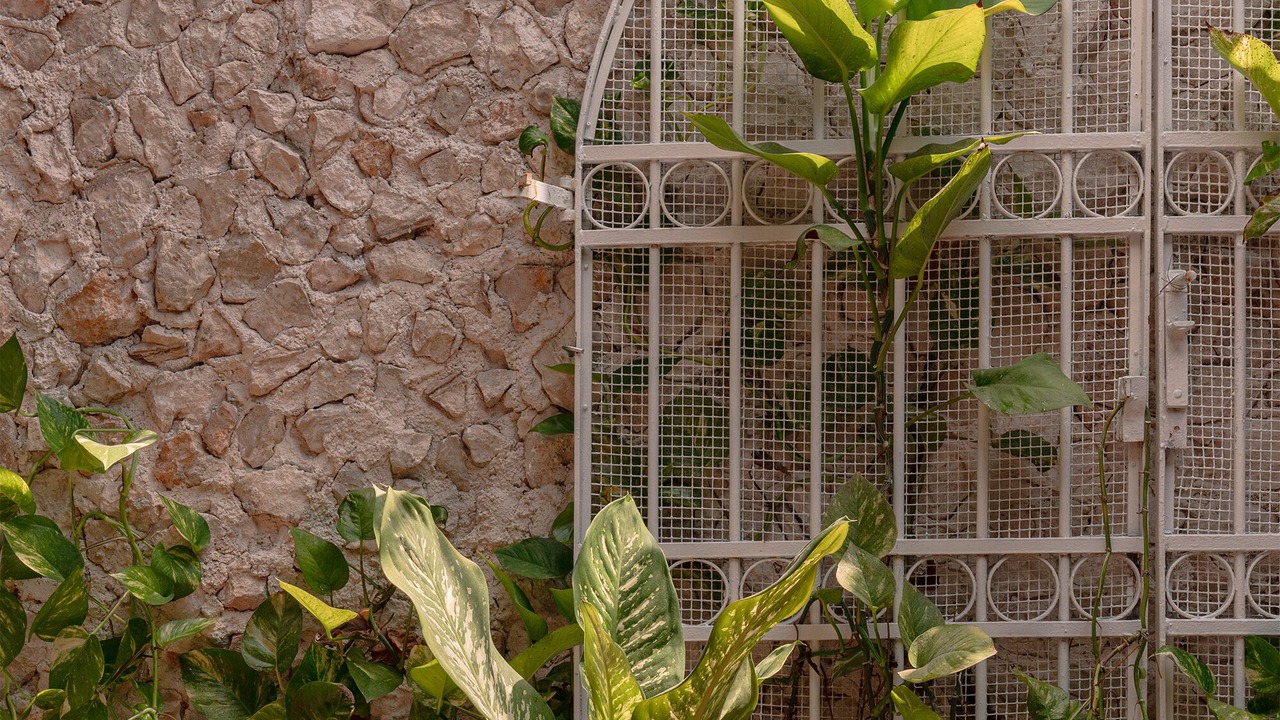 Photo of Outdoor in Centro