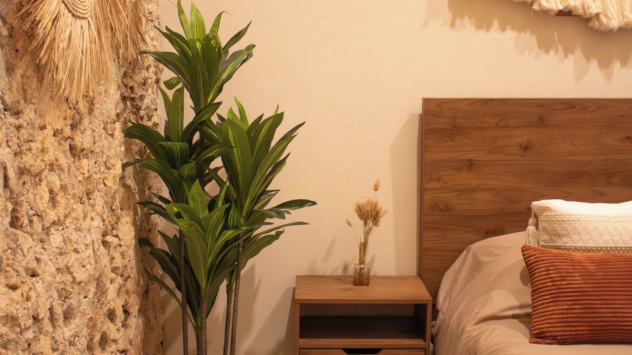 Photo of Bedroom in Centro