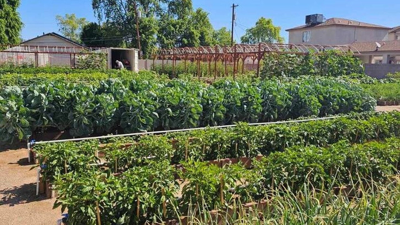 Photo of Outdoor in North Mountain