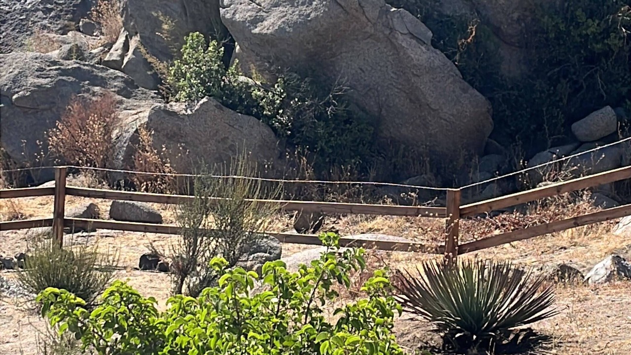 Photo of Others in Tecate Municipality