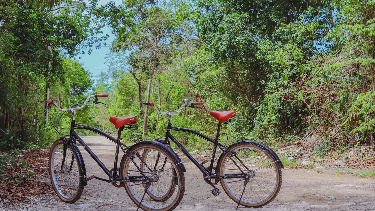 Photo of Others in Tulum