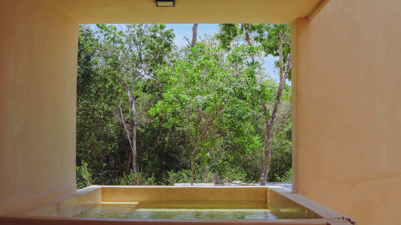Photo of Outdoor in Tulum