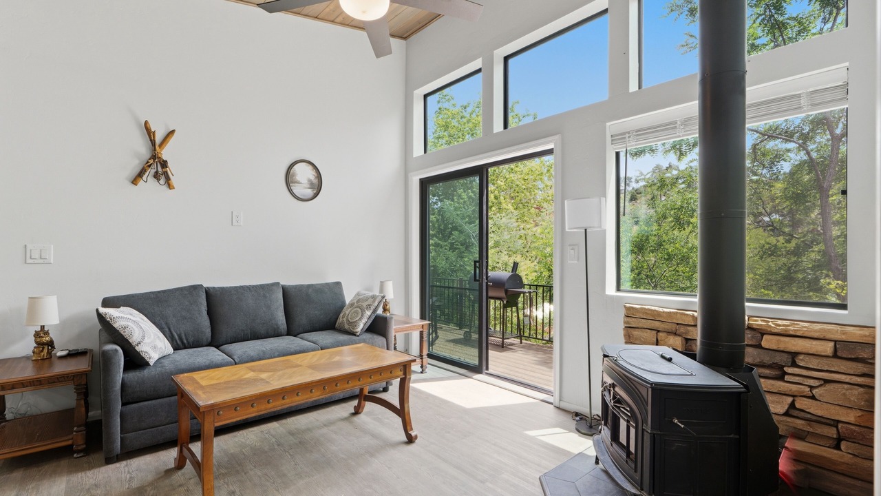 Photo of Livingroom in Mount Lemmon