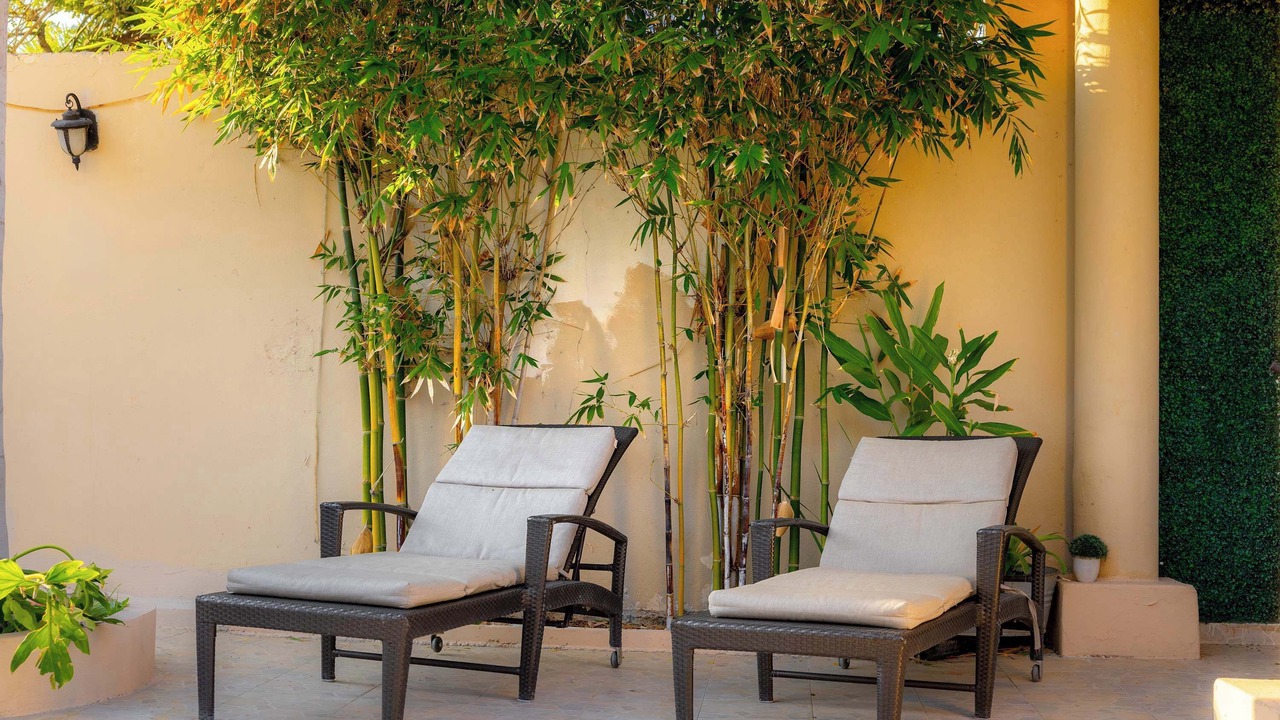 Photo of Patio Balcony in Montecarlo