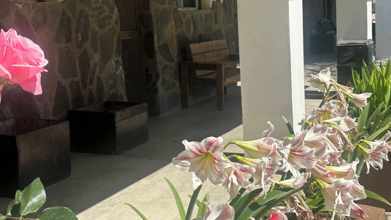 Photo of Outdoor in San Rafael
