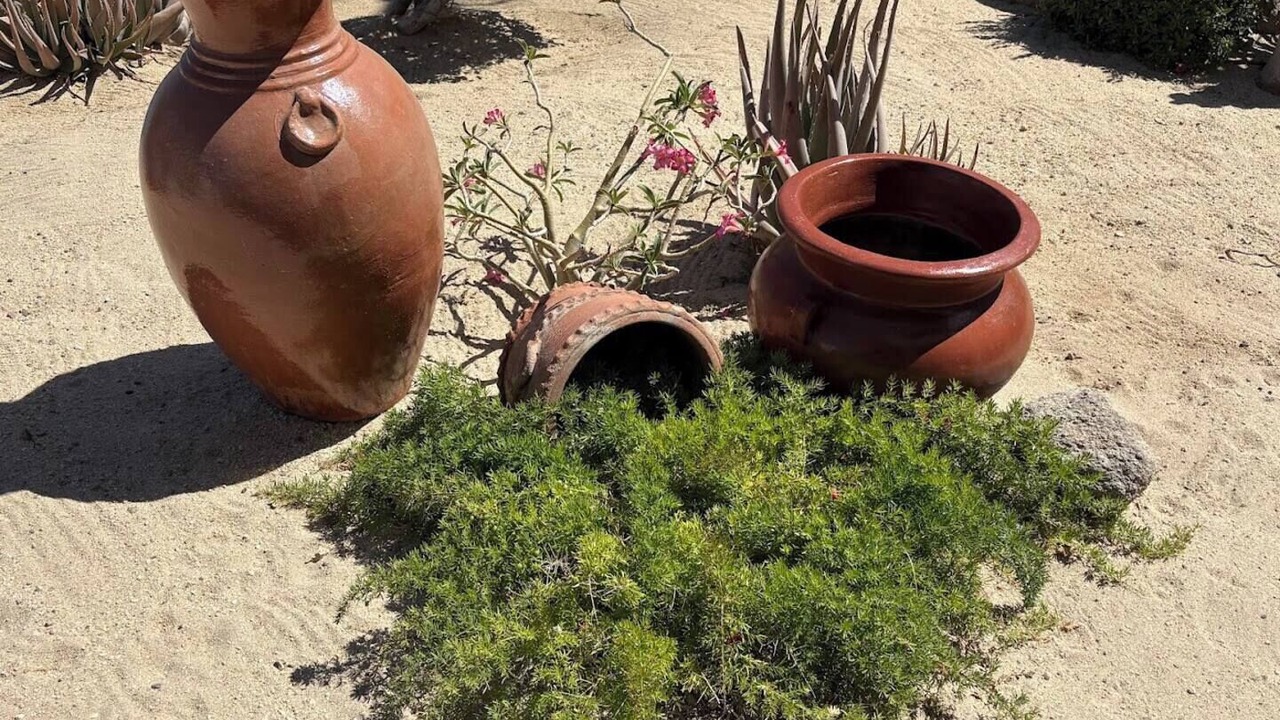 Photo of Outdoor in Zona Hotelera