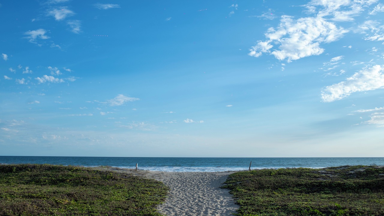 Photo of Others in Mazatlan