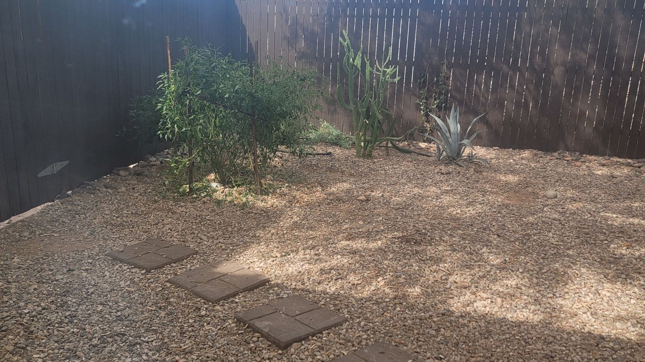Photo of Outdoor in Summit