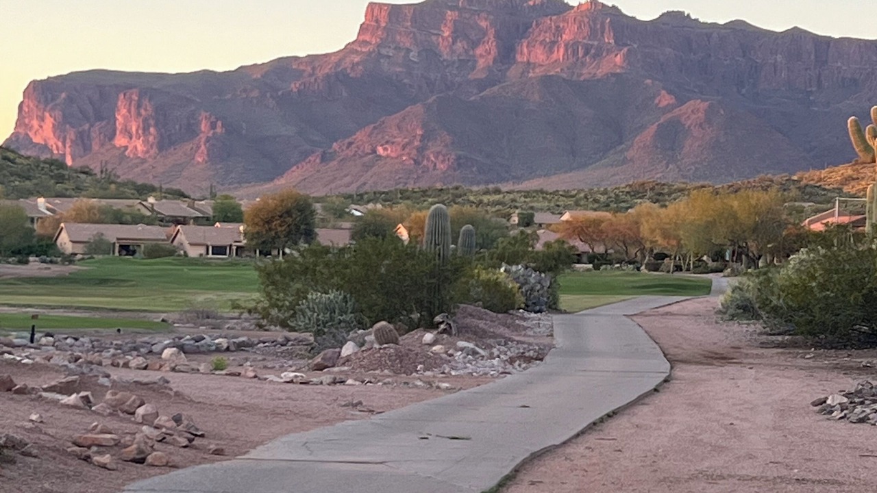 Photo of Others in Gold Canyon