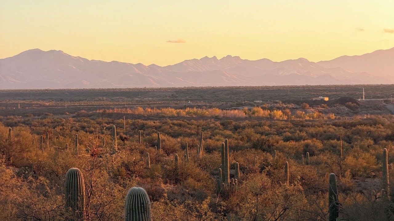 Photo of Others in Tucson