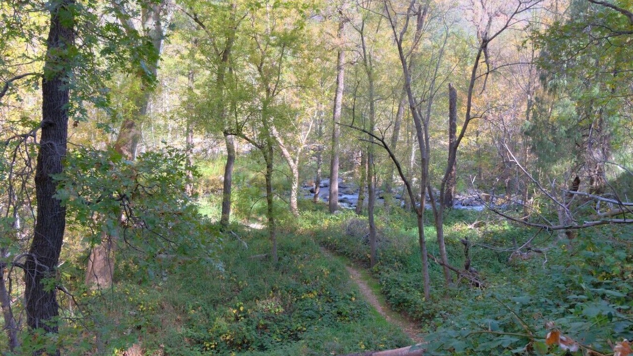 Photo of Others in Sedona