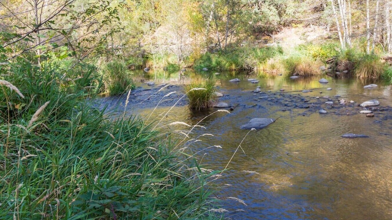 Photo of Others in Sedona