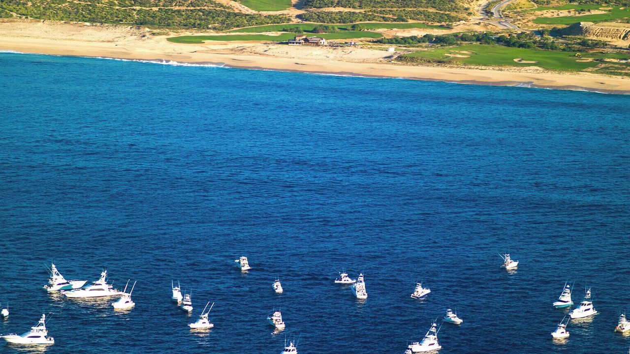 Photo of Others in Los Cabos