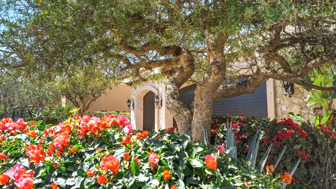 Photo of Outdoor in Los Cangrejos II y III
