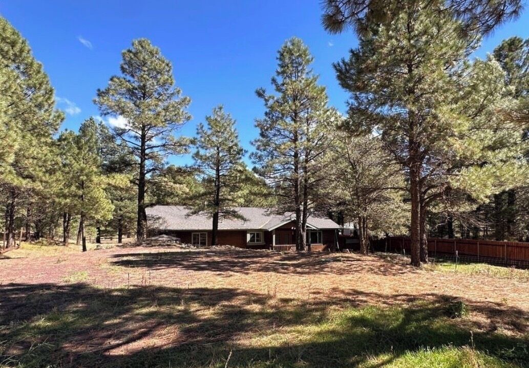 Photo of Outdoor in Flagstaff