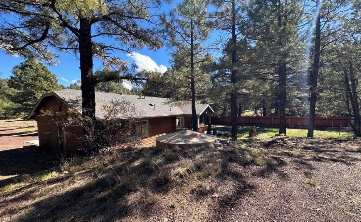 Photo of Outdoor in Flagstaff
