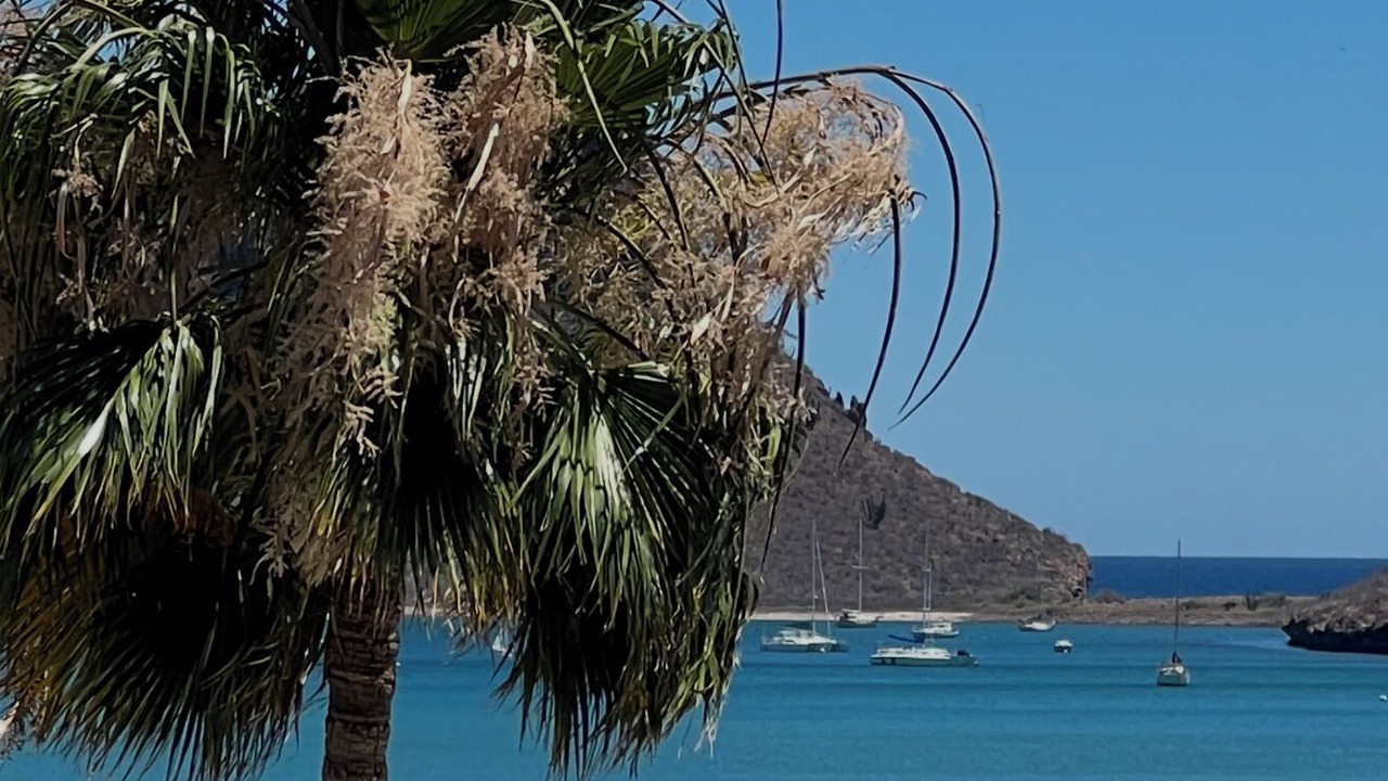 Photo of Others in Sector Bahia