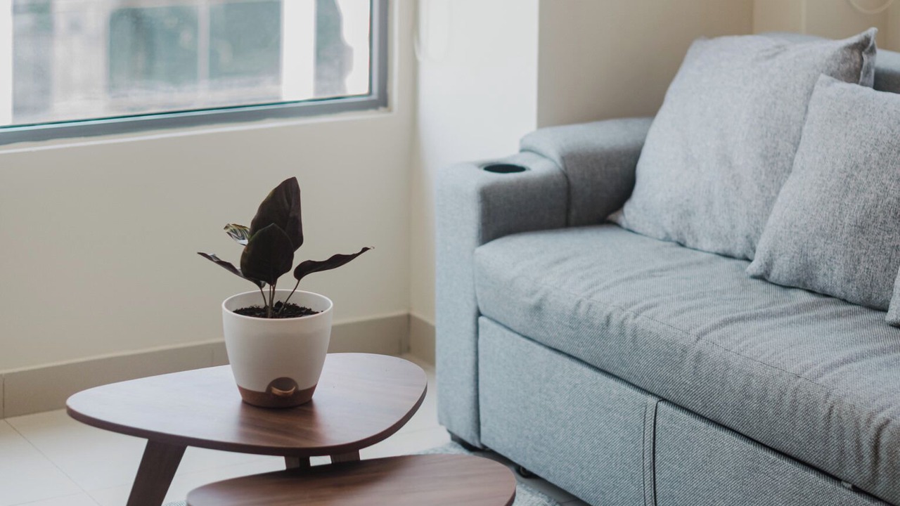 Photo of Livingroom in Ampliacion Granada