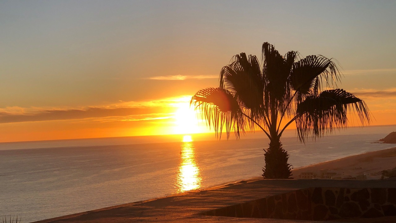Photo of Others in Los Cabos