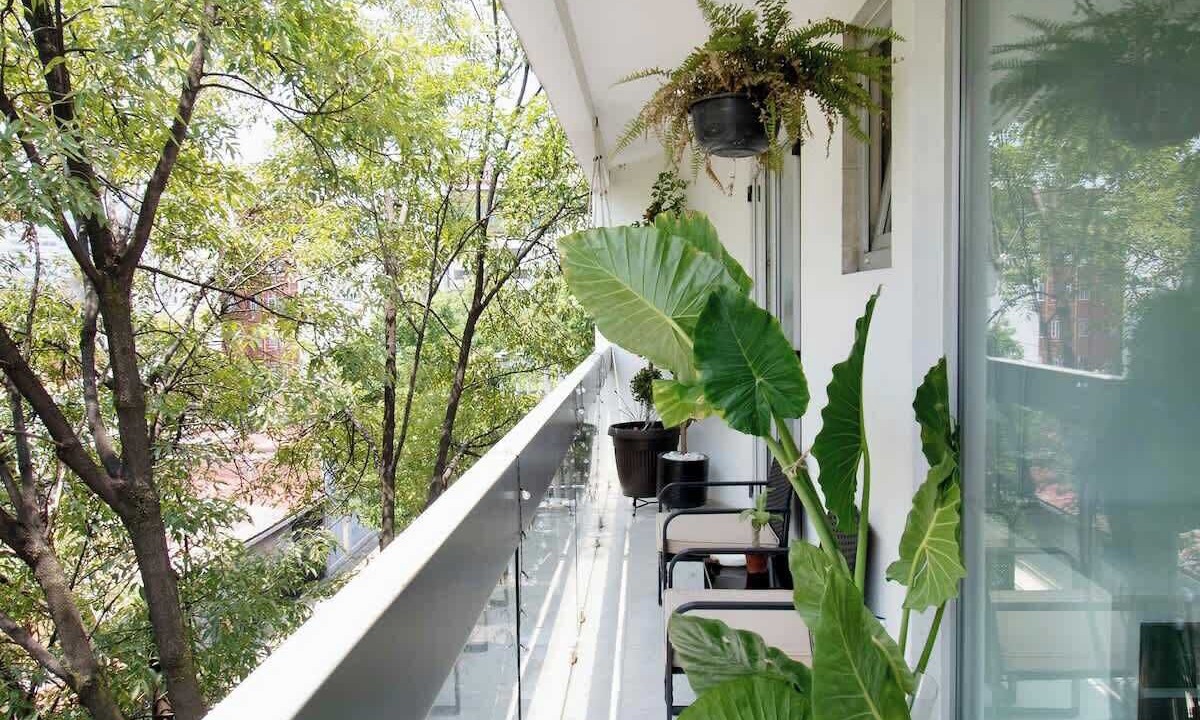 Photo of Outdoor in Escandon