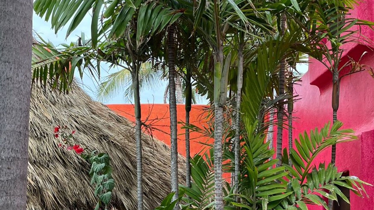 Photo of Outdoor in Chamela