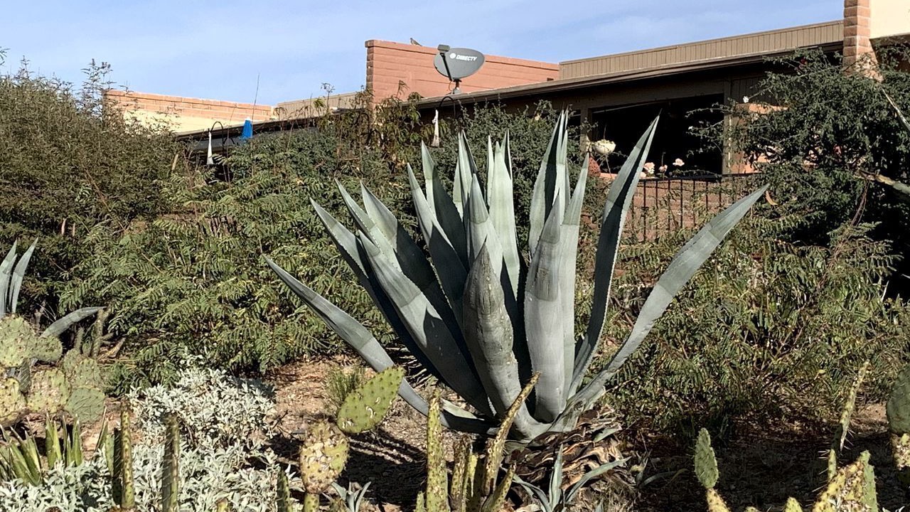Photo of Outdoor in Canoa Estates