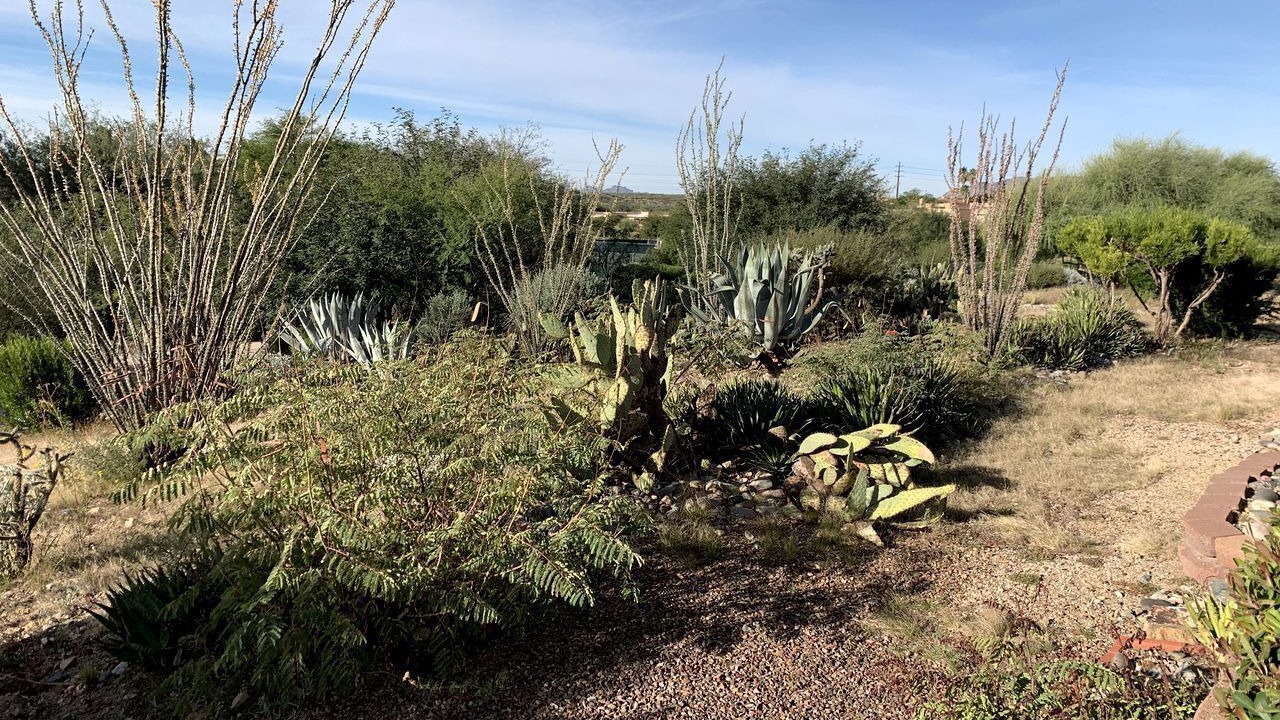 Photo of Outdoor in Canoa Estates