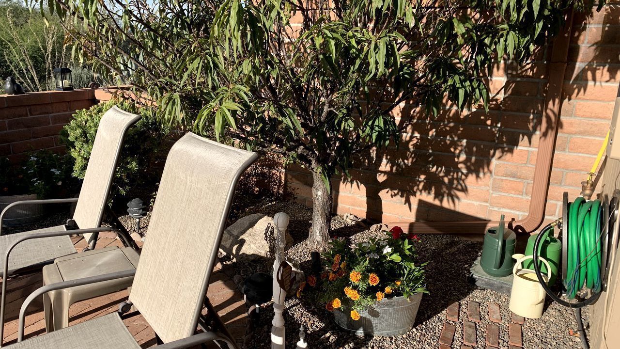 Photo of Patio Balcony in Canoa Estates