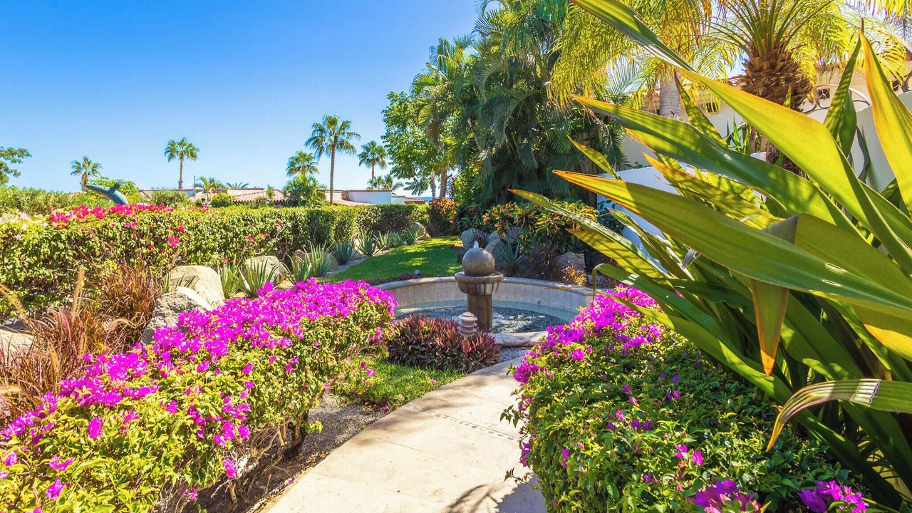 Photo of Outdoor in Los Cabos