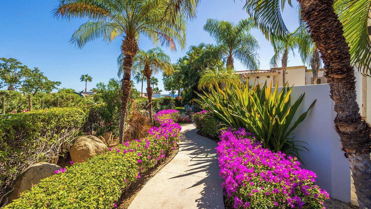 Photo of Outdoor in Los Cabos