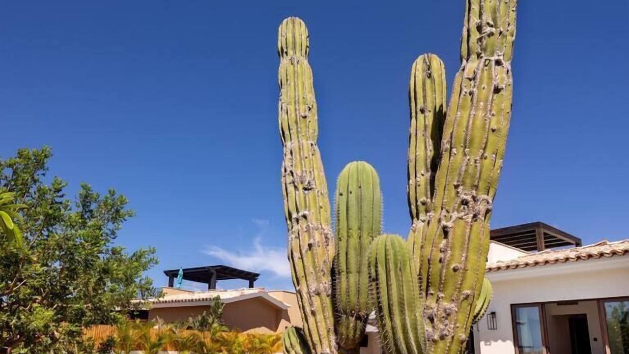 Photo of Outdoor in Los Cabos