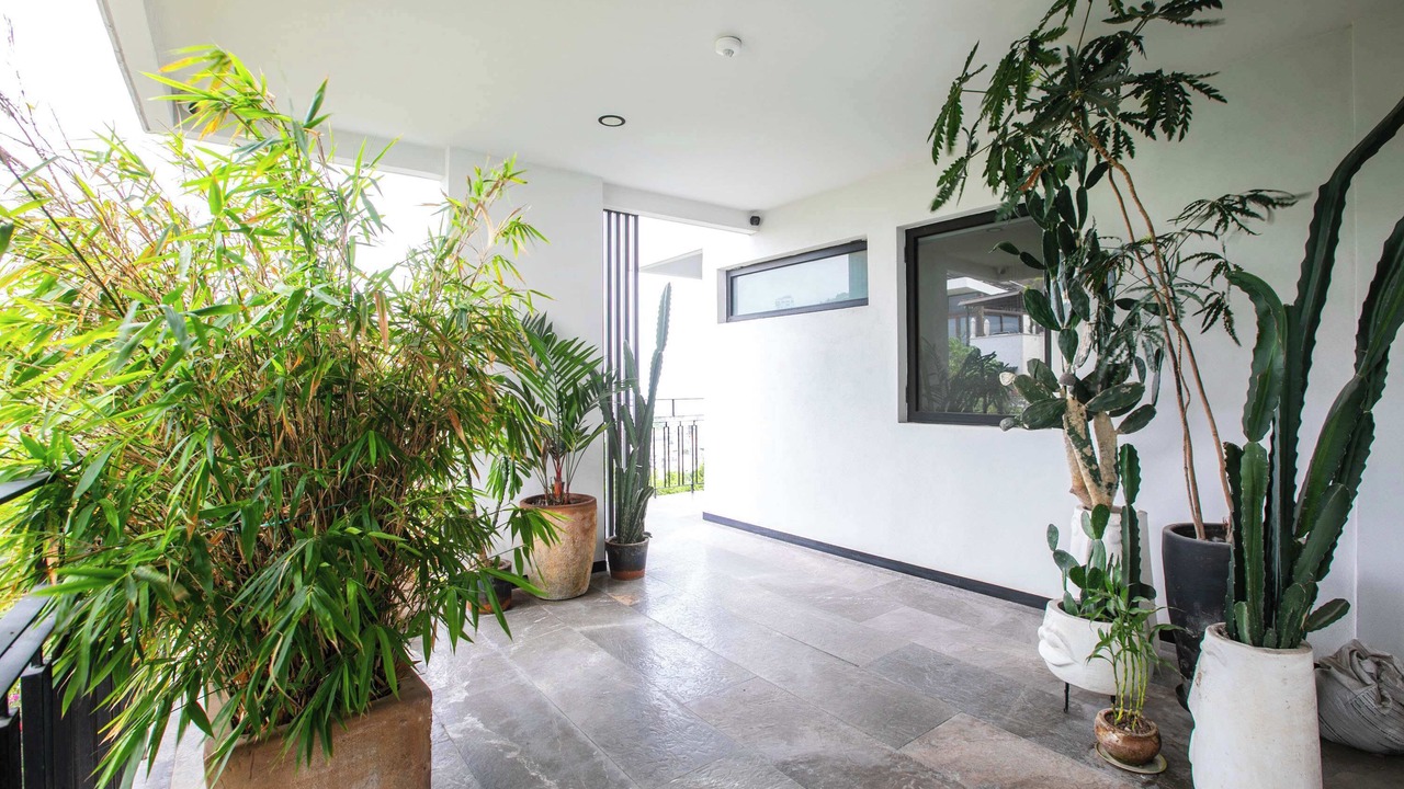 Photo of Patio Balcony in Alta Vista
