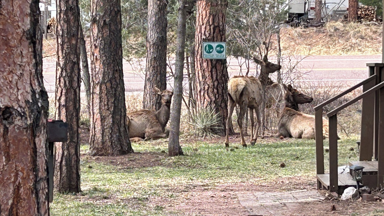 Photo of Others in Christopher Creek