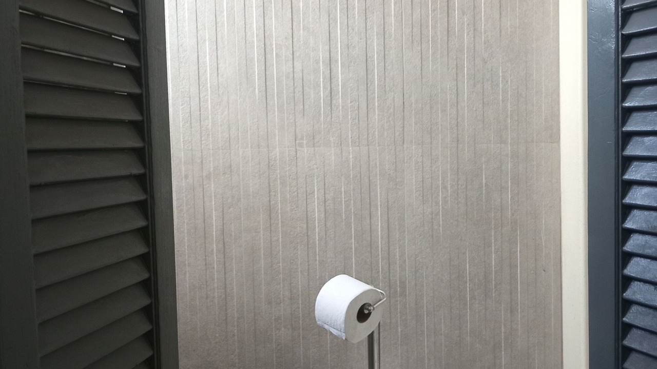 Photo of Bathroom in Valle Dorado