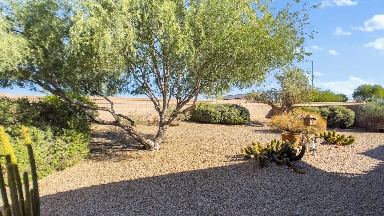 Photo of Others in Sun City West